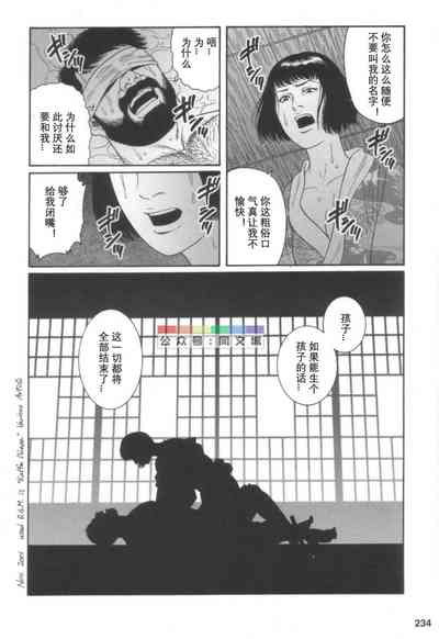 第233頁圖