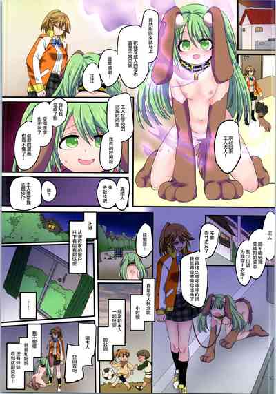 第17页图