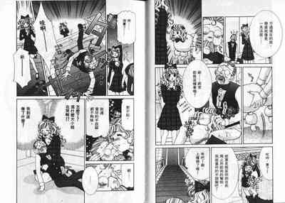 第29頁圖