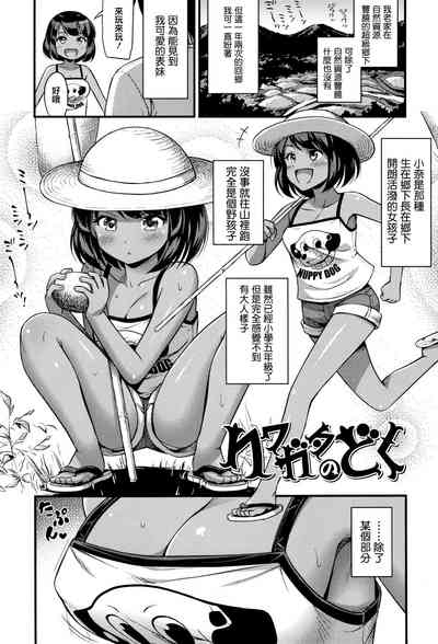 第29页图