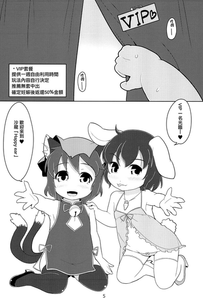 第5页图