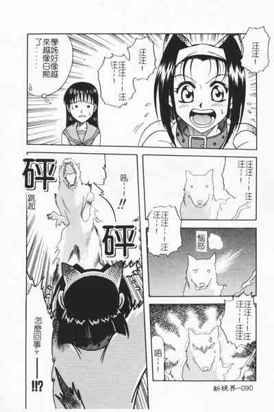 第89頁圖