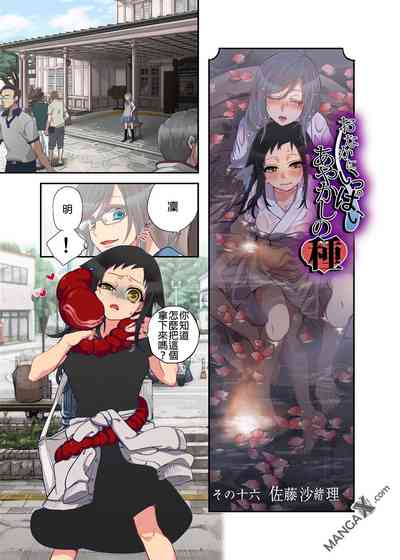 第17页图