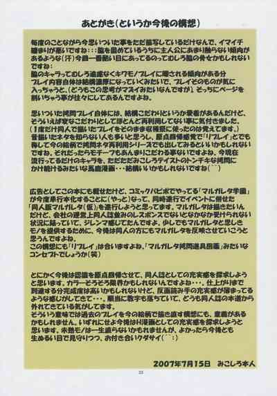 第33頁圖