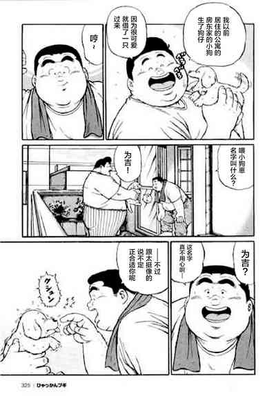 第325頁圖