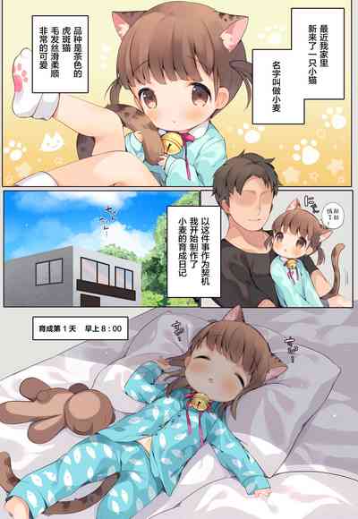 第5页图