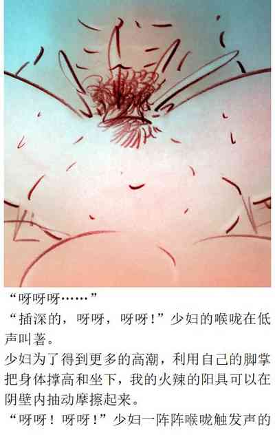 第13頁圖