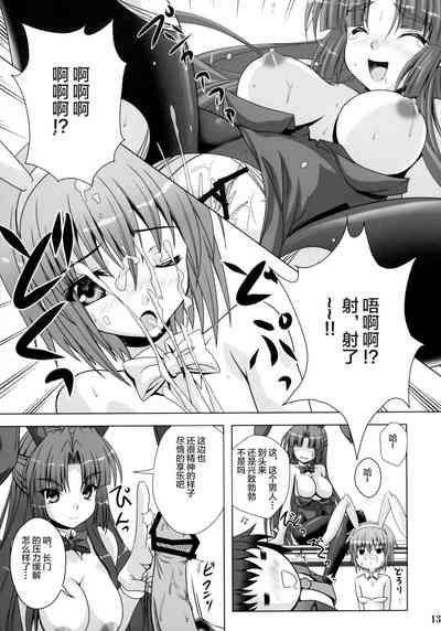 第13页图