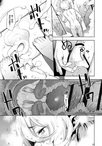 第25頁圖