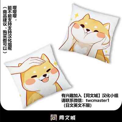 第25页图