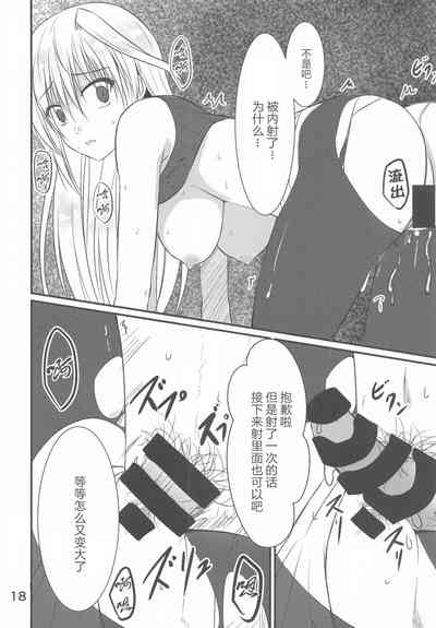 第17页图