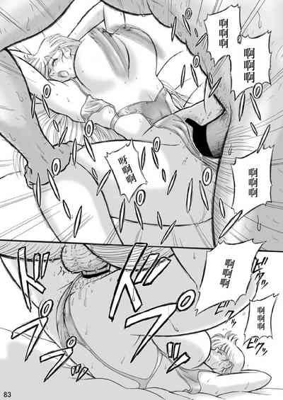 第33頁圖