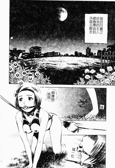 第145頁圖