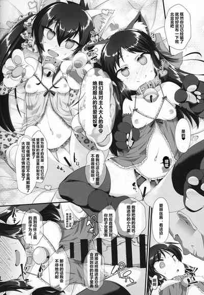 第17頁圖
