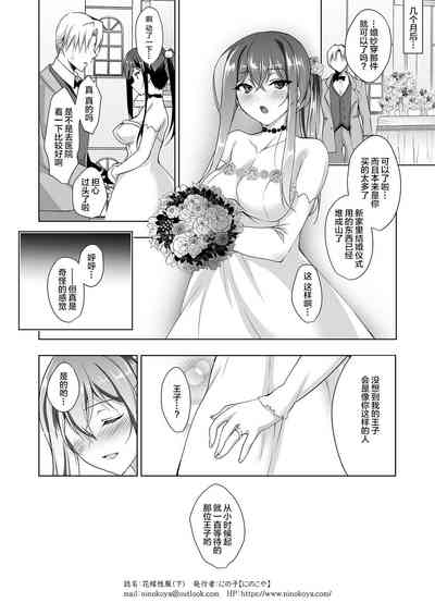 第49頁圖