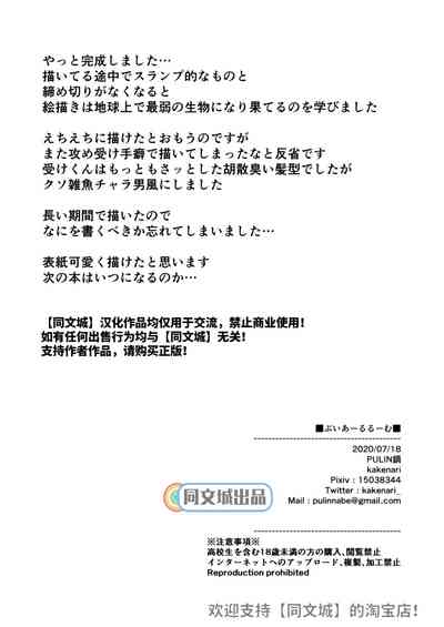 第33頁圖