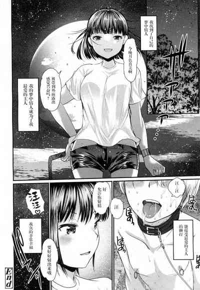 第17页图