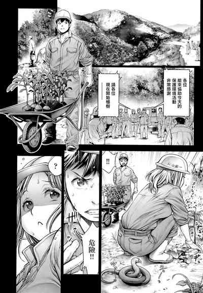 第41頁圖