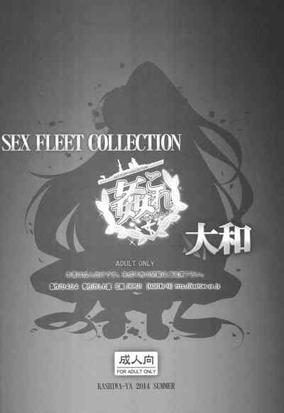 第17页图