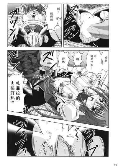 第25頁圖