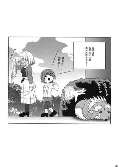 第29頁圖