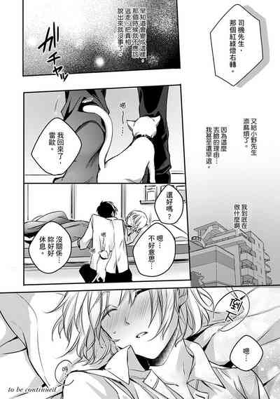 第113頁圖