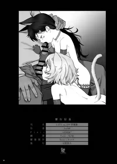 第37頁圖