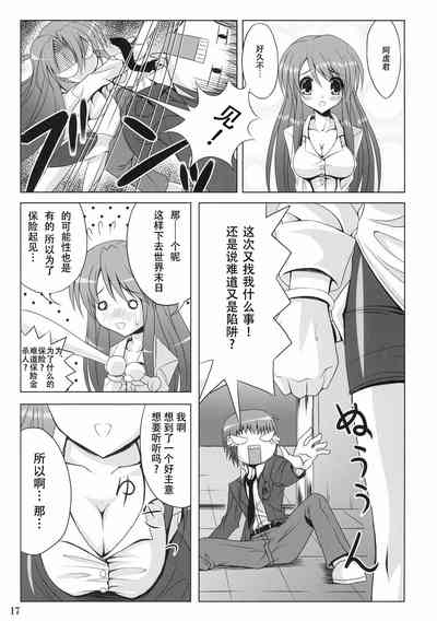 第17页图