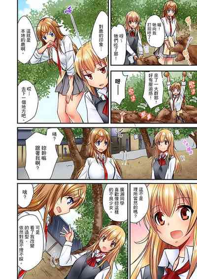 第341頁圖