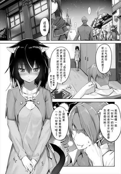 第13页图