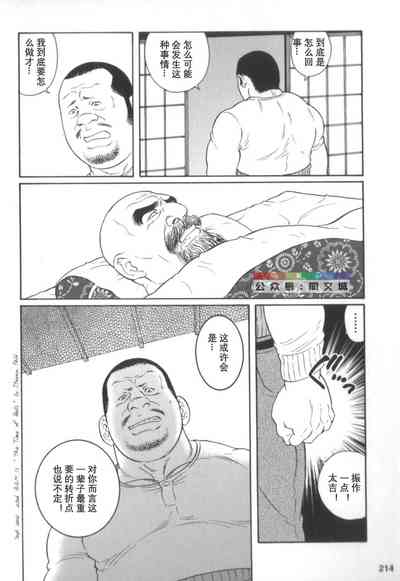 第213页图