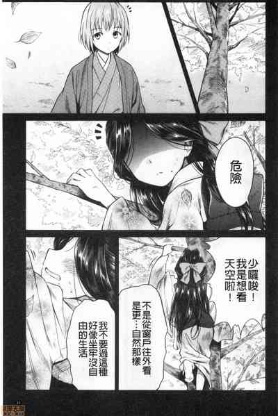 第33页图