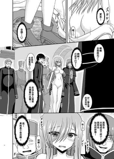 第17页图