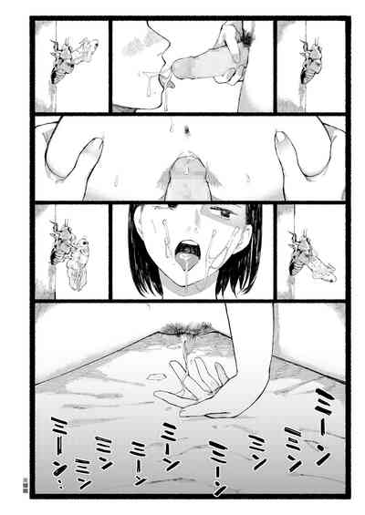 第29页图