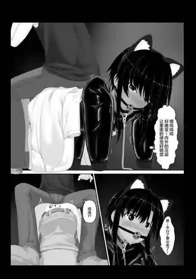 第25頁圖