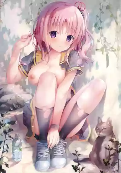 第13頁圖