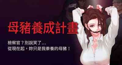 第1頁圖