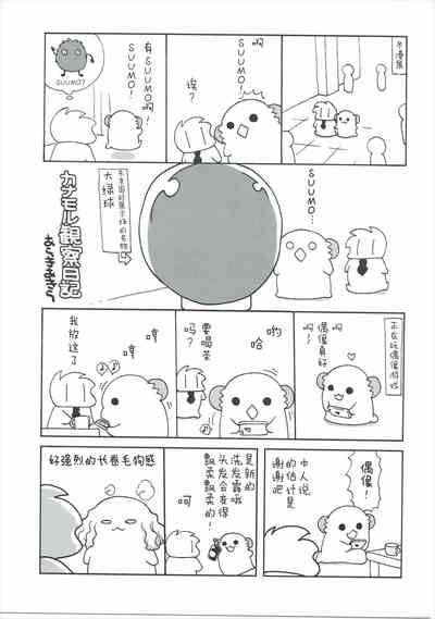 第21頁圖