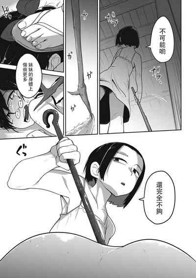 第81頁圖