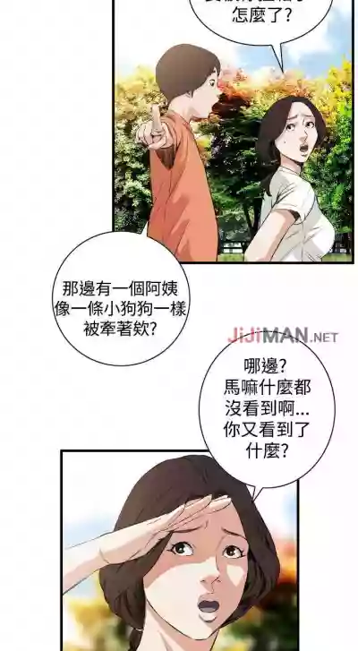 第333頁圖