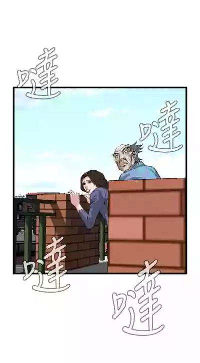 第529頁圖