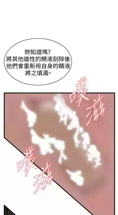 第585頁圖