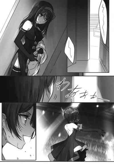 第217頁圖