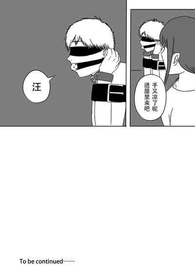 第17页图