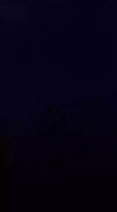 第161頁圖