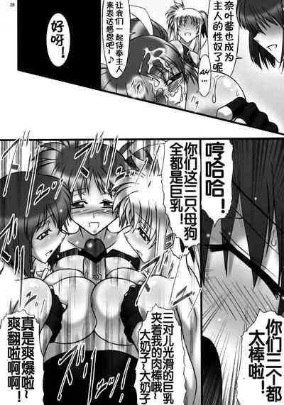第29頁圖