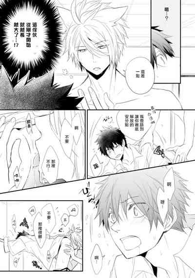 第21頁圖