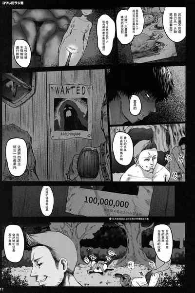 第17页图