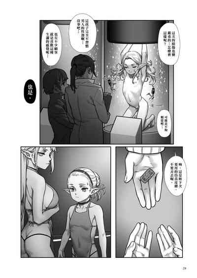 第29頁圖