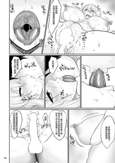 第17页图